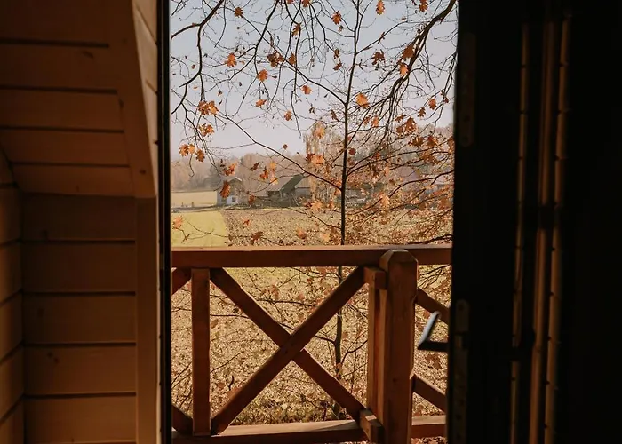 Sosnowy Piętro * Graboszyce